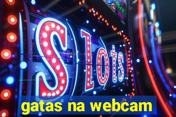 gatas na webcam